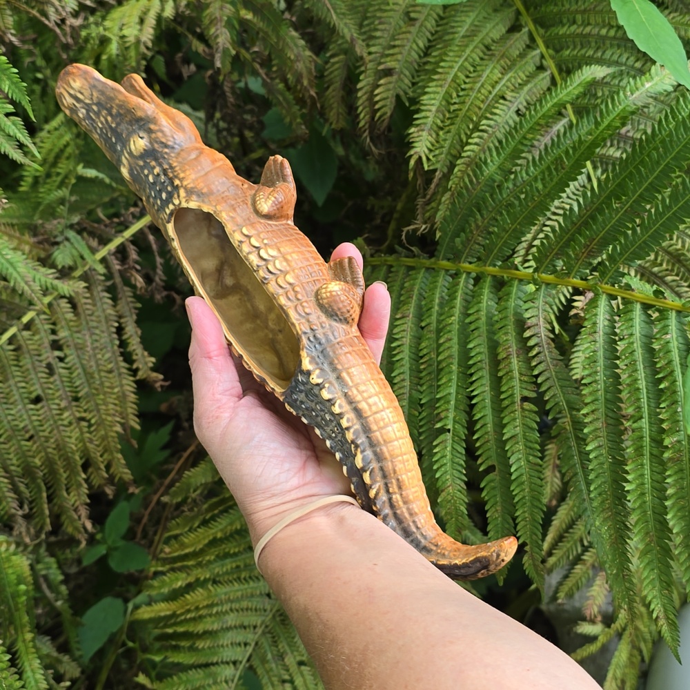 1950s MCM Rare Alligator Ceramic  Planter Dish Japan Potteries Co Ohio Souvenir